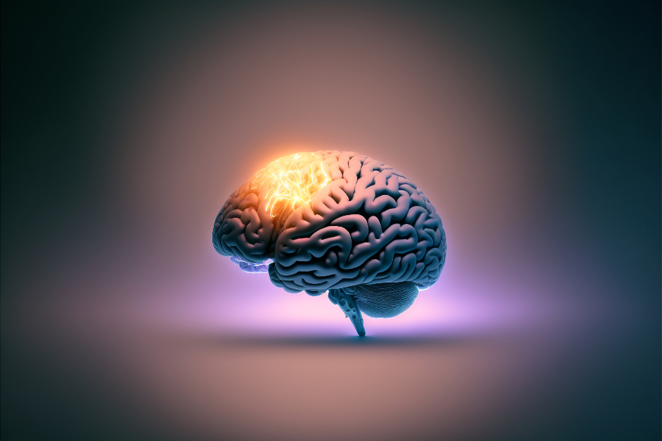 Neuroscience